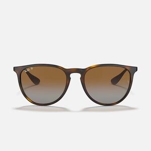 Ray-Ban Erika Classic Sunglasses